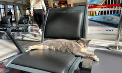 Eskişehir tren garında yüzleri gülümseten görüntü