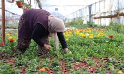 Muğla'da üretilen ürünler Eskişehir Halk marketlerinde satışa sunuluyor