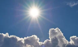 Mevsimler karıştı! Eskişehirliler endişe duyuyor