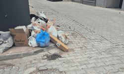 Eskişehir’in en lüks semtine yakışmıyor