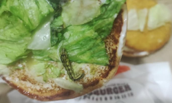 Eskişehir'de mide bulandıran olay: Hamburgerin içinden kurt çıktı