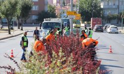 Eskişehir'de yeşil alanlar güvenli hale getiriliyor: Çalışmalar sürüyor