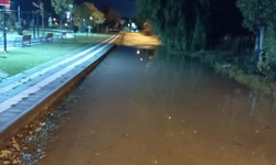 Eskişehir'de tepki çeken görüntü: Etraf göle döndü...