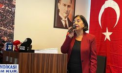 CHP'li Süllü: "Emeklilik bir yük değil temel bir haktır"