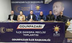 AK Parti, Odunpazarı İlçe Daraltılmış Danışma Kurulu Toplantısı'nı gerçekleştirdi