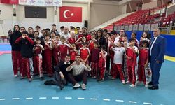 Eskişehir'de 29 Ekim Cumhuriyet Kupası Kick Boks Müsabakası gerçekleştirildi