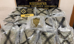 Komşuda bir kamyonda 33 kilo esrar ve 6,55 gram kokain ele geçirildi