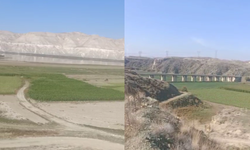 Sarıyar Barajı'nda su seviyesi düştü: Çekilen alanlara köylüler ekin ekti