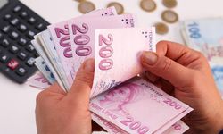 Emekliye bir değil iki maaş dönemi: Bu kişilerin başvurması gerek