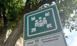 Eskişehir'de afet toplanma alanı var mı? Eskişehir'de kaç tane afet toplanma alanı var?