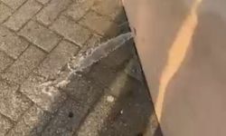 Eskişehir'de su sızıntısı sokağı göle çevirdi