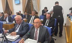 CHP'li Çakırözer: "Vatandaş değil vize, randevu alamıyor"