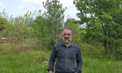 Eskişehir'de dinlenmek için duran adama otomobil çarptı: Ağır yaralandı, kurtarılamadı