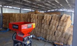 5 mahallede gerçekleştirildi: Eskişehir'de küçükbaş hayvan üreticilerine destek sürüyor