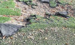 Muammer Uludemir Halı Sahası yenileme çalışması bekliyor