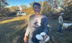 Mantar bereketi başladı: Uzmanlar uyardı, bu detaya dikkat!