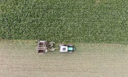 Fiyatlar güncellendi, üretim arttı: Şeker pancarı hasadı devam ediyor