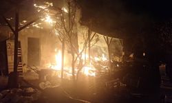 Bilecik’te arı kovanlarının bulunduğu sundurmada çıkan yangın paniğe yol açtı