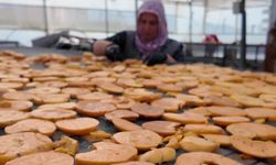 Her yaştan tüketiciye hitap ediyor: Cennet hurması artık cips formunda