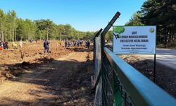 Şehit orman işçisi Enes Kızılyer anısına çeşme açıldı, fidan dikildi