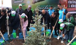 Seyitgazi'de orman şehidi için 15 bin fidan dikildi