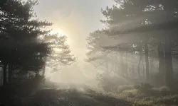 Bozdağ'da sabah saatlerinde oluşan manzara görenleri büyüledi