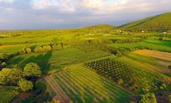 Eskişehir dahil 51 ilde 3 gün sonra başlıyor: Arsa satışı için detaylar açıklandı