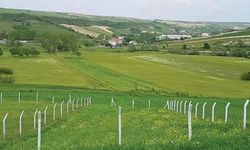 Eskişehir listede mi? Arsaların en pahalı ve en ucuz olduğu iller açıklandı