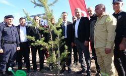 Yeşil Vatan Şehidi Bayram Eren Arslan adına hatıra ormanı yapıldı