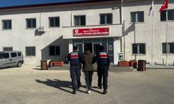 Eskişehir'de onlarca kuzuyu çalarak kayıplara karıştılar: Şüpheliler böyle yakalandı
