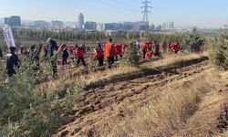 Yangın şehitleri unutulmadı: 3 farklı noktada hatıra oramanının temelleri atıldı