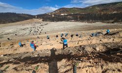 Denetimli serbestlik yükümlüleri 11 Kasım Milli Ağaçlandırma Günü'nde fidanları toprakla buluşturdu