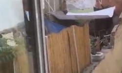 Eskişehir'de skandal görüntü: Köpeğe şiddet uyguladı