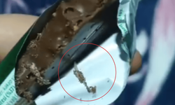 Eskişehir'deki marketten alınan çikolatan kurt çıktı