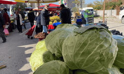 Eskişehir'de dev lahanalar pazarın ilgi odağı oldu