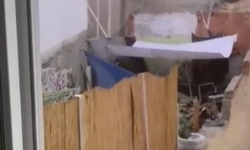 Eskişehir’de köpeğe eziyet eden şahıs yakalandı!