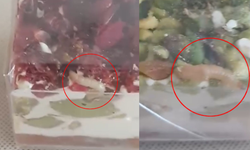 Eskişehir'de mide bulandıran iddia: Tatlının içinden kurt çıktı