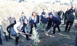 Eskişehir'de şehit olan AKUT gönüllüsü için hatıra ormanı oluşturuldu