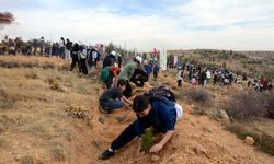 Eskişehir'deki orman yangını şehitlerinden Muharrem Can için fidan dikildi