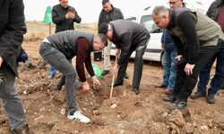 Başkan Kurt fidan dikim etkinliğine katıldı
