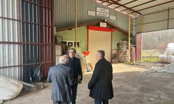 Kaymakam Yücel’den Süt Üretim Tesisine ziyaret