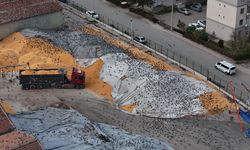 Eskişehir'de ilginç görüntü: Yüzlerce güvercin aynı yerde besleniyor