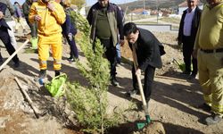 Han’da Milli Ağaçlandırma Günü’nde fidanlar toprakla buluştu