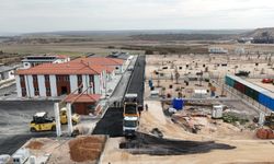 Eskişehir Hayvan Barınağı'nın açılmasına günler kaldı!