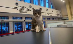 Eskişehir Tren İstasyonu'nda yürekleri ısıtan görüntüler