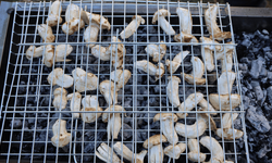 Kilosu etle yarışıyor: Beyaz altın olarak bilinen mantar altın çağını yaşıyor