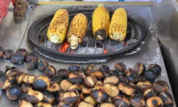 Uzmanı sıraladı: İşte dışarda yenmemesi gereken yemekler