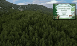 Eskişehirli Doktor beş orman oluşturma hedefiyle yola çıktı