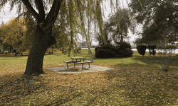 Sonbaharın gelişi Eskişehir'de görsel şölen oluşturdu