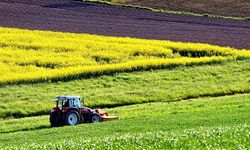 Tapusu olanı zengin etti: İşte tarla fiyatlarının en çok arttığı iller